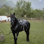 Shpija Ujevara E Vogel Βίλα *