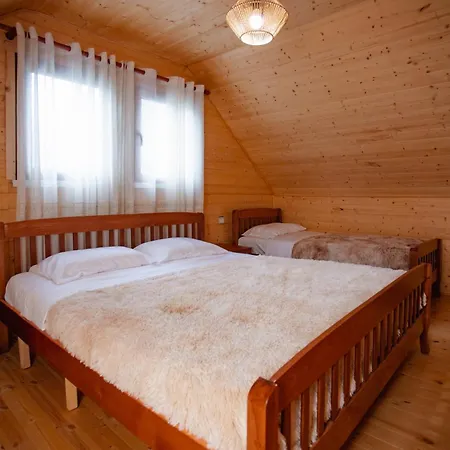 Shpija Ujevara E Vogel