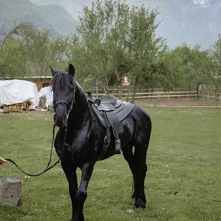 Shpija Ujevara E Vogel Вилла *